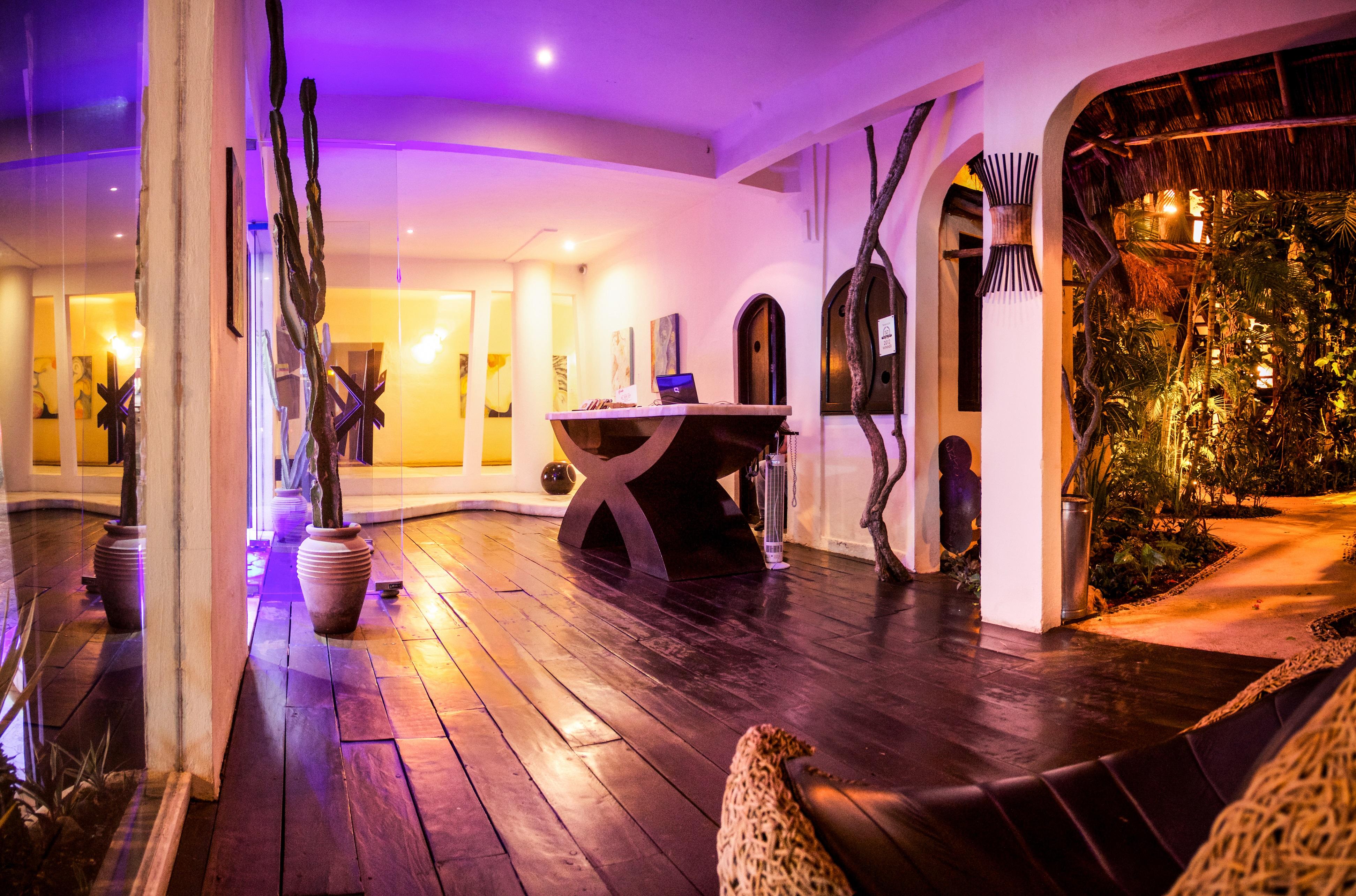 Kinbe Hotel Boutique Playa del Carmen Dış mekan fotoğraf